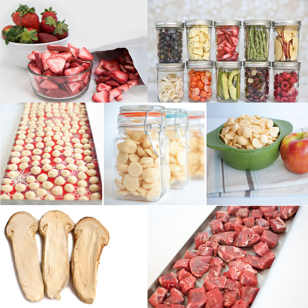 NADE In-Situ Minitype Lyophilizer/freeze drying equipment/freeze dryer 0.1m^2 TF-HFD-1