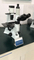 Nade Inverted microscope electronic microscope camera NIB-100