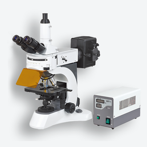 Fluorescent Microscope N-800F