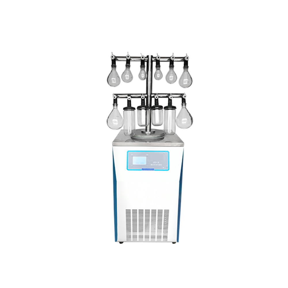 Professional Laboratory Freeze Dryer commercial freeze drying – WM machinery